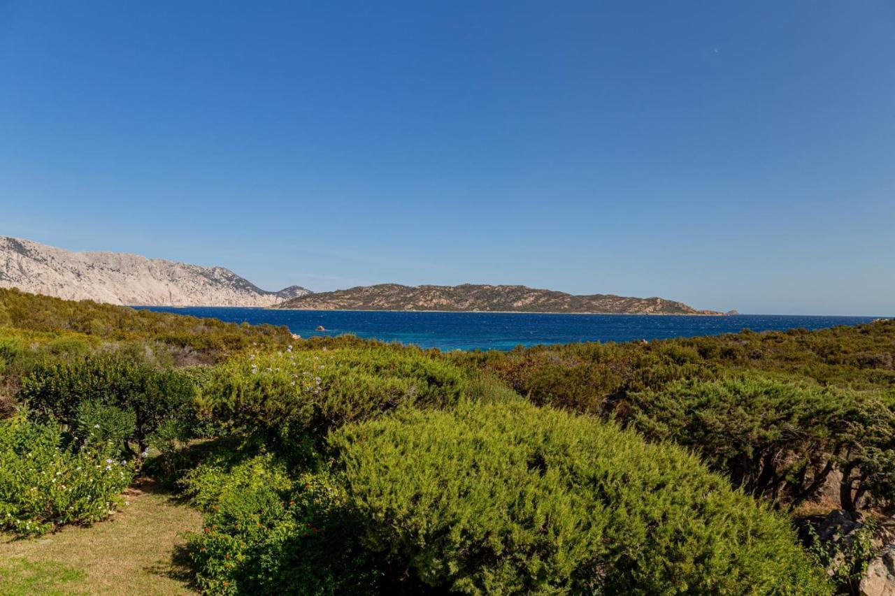 Appartamento Cala Paradiso ซาน เตโอโดโร ภายนอก รูปภาพ
